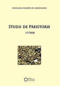 Studii de Preistorie 17